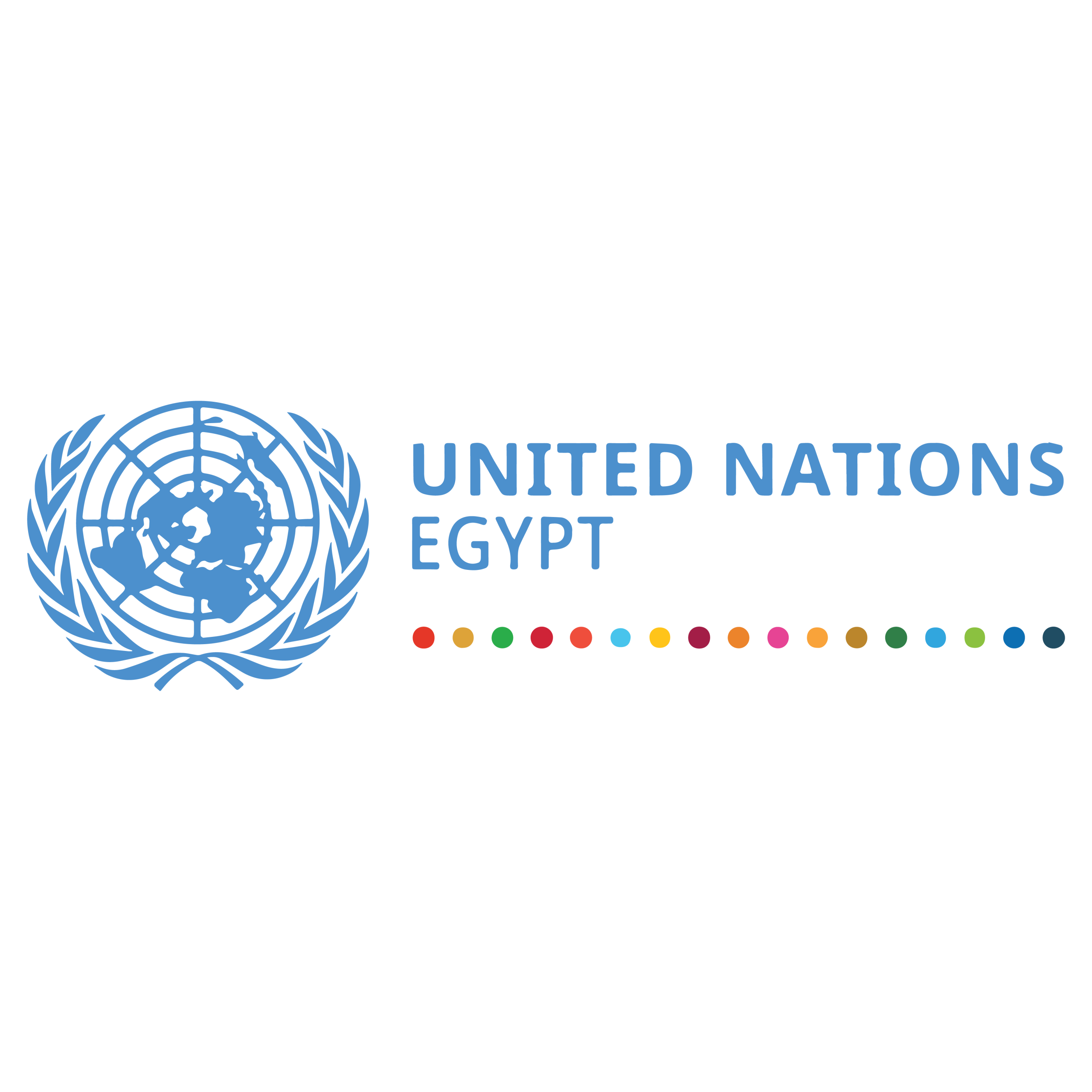 UN in egypt - Logo